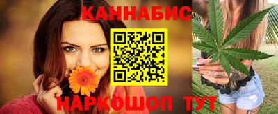индика Дмитров
