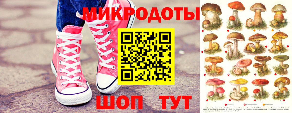 Орск  Галлюциногенные грибы прущие грибы  Вход с VPN 